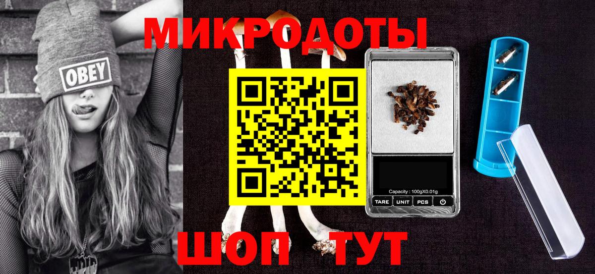 Галлюциногенные грибы Cubensis Ефремов