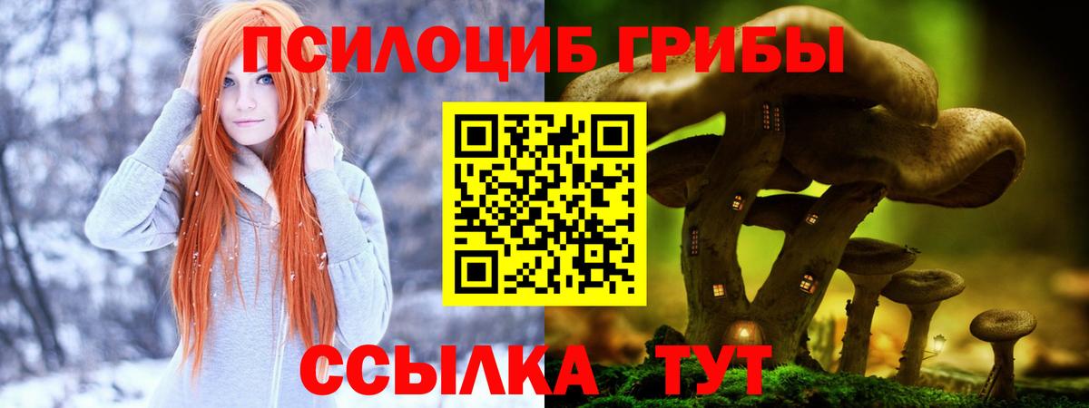 Галлюциногенные грибы ЛСД  Вход с VPN  закладки  Ефремов 